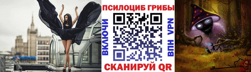Псилоцибиновые грибы Cubensis  закладка  Ермолино 