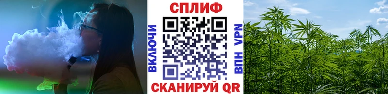 Каннабис гибрид Ермолино